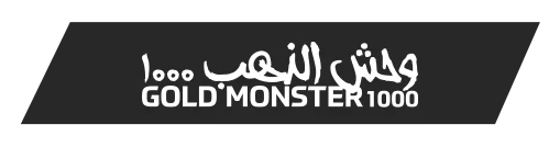 istanbul-minelab-gold-monster-1000